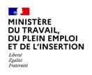 Titre Professionnel délivré par le Ministère du Travail, du Plein Emploi et de l'Insertion